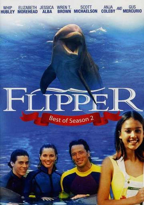 Flipper's. Флиппер сериал. Флиппер сериал 1995. Сериал Флиппер 1995 актеры. Флиппер сериал 1964–1967.