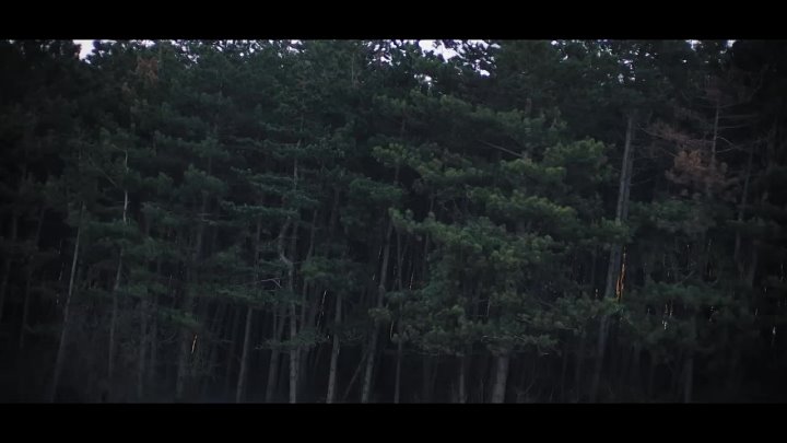 oid=-69019591&id=456255401&hash=cd70c6d7891b1401