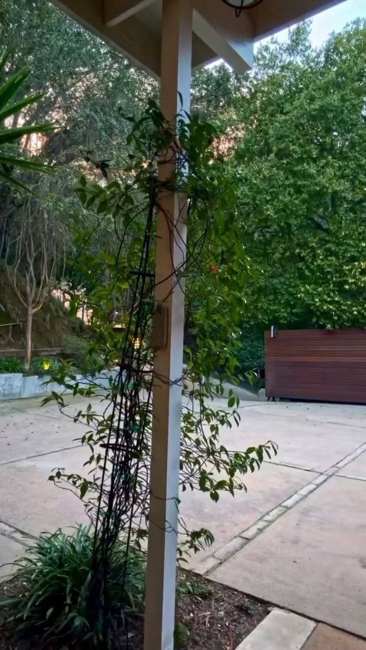 oid=-69019591&id=456255546&hash=37c2aa24b93b4518