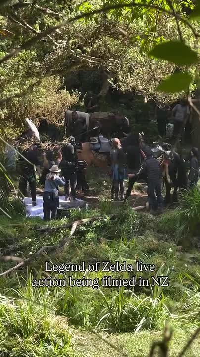 oid=-69019591&id=456255285&hash=7e4bf5f42d330e22