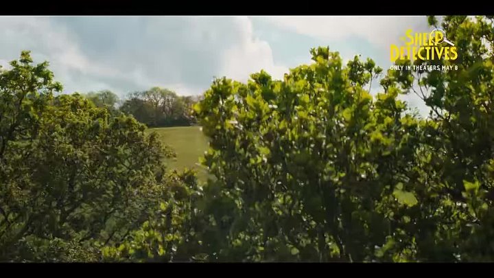 oid=-69019591&id=456255349&hash=1457f22e8881e29b