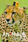 Animals with Cameras