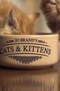 Jo Brand's Cats and Kittens