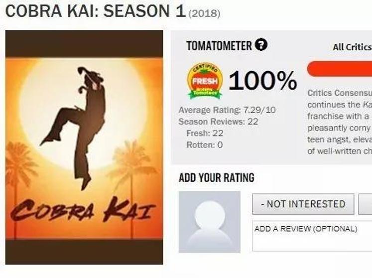 Первый сезон сериала от YouTube «Cobra Kai", сиквела к фильму ""Парень-каратист" 1984 года, получил 100% на "томатах»