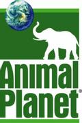 Animal Planet Documentaries