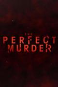 The Perfect Murder