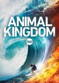 Animal Kingdom