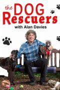 The Dog Rescuers with Alan Davies