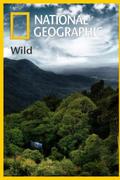 Wild