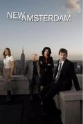 Новый Амстердам