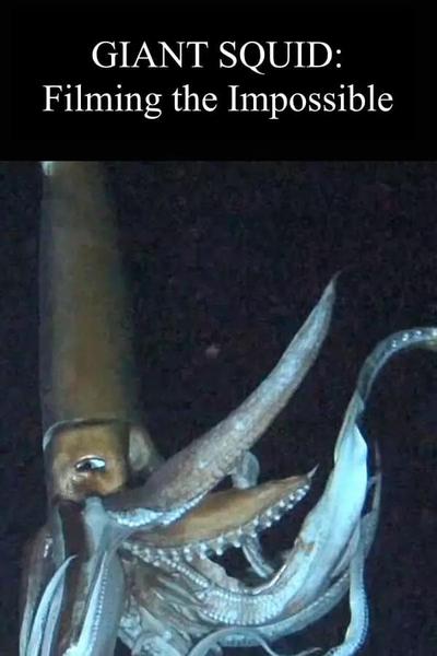 Legends of the Deep: The Giant Squid