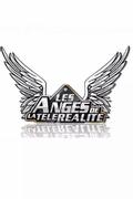 Les Anges de La Télé-Réalité