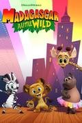 Madagascar: A Little Wild
