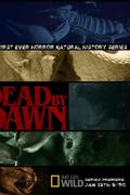 Dead by Dawn