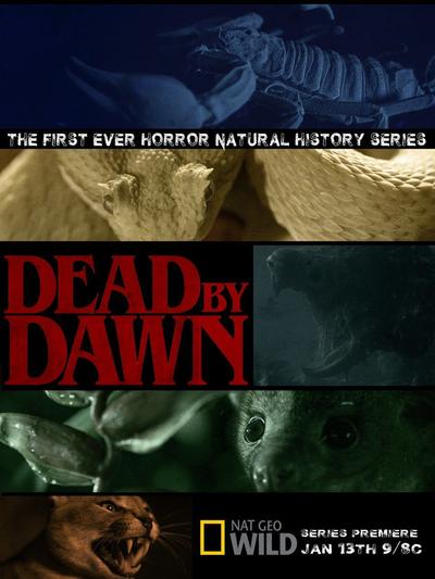 Dead by Dawn