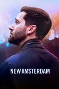 Новый Амстердам