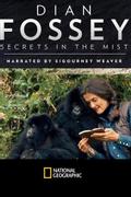 Dian Fossey: Secrets in the Mist