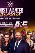 WWE's Most Wanted Treasures