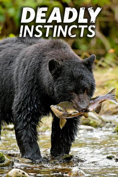 Deadly Instincts