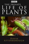 The Private Life of Plants