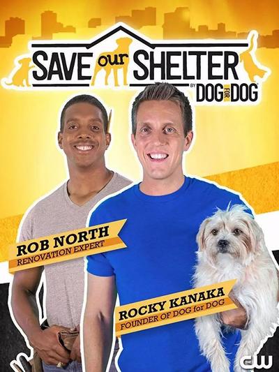 Save our Shelter