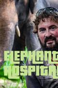 Elephant Hospital