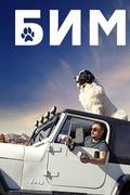 БиМ