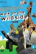 Walk on the Wild Side