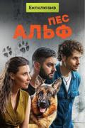 Пес Альф