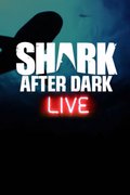 Shark After Dark