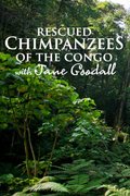 Rescued Chimpanzees of the Congo with Jane Goodall