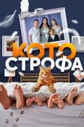 Котострофа