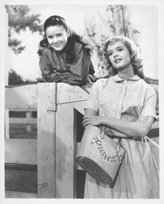 National Velvet