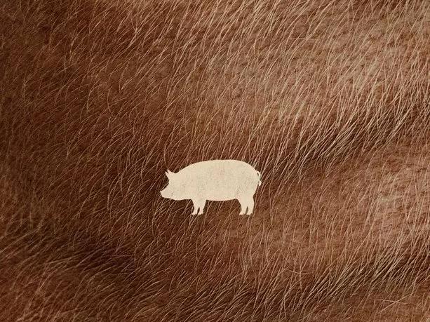 Постер фильма «Свинья» с Николасом Кейджем