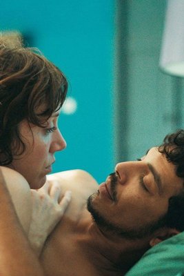 Derrière les palmiers