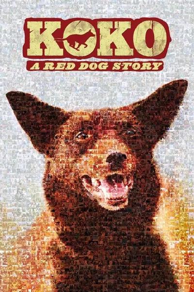 Коко: История рыжего пса