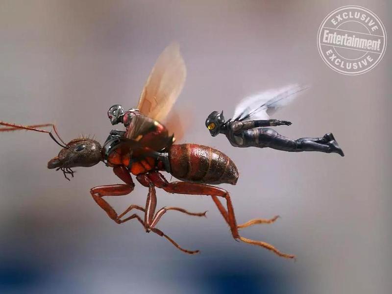 Новый кадр из фильма «Ant-Man and the Wasp»