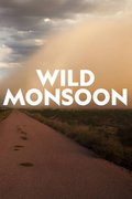 Wild Monsoon