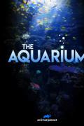 The Aquarium