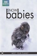 Snow Babies