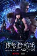 Ghost in the Shell: SAC_2045