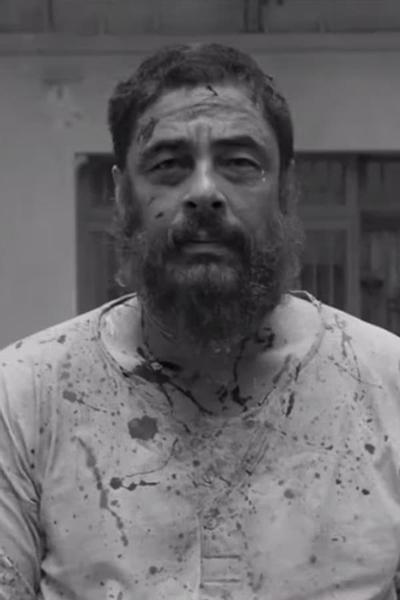 Untitled Wes Anderson Film