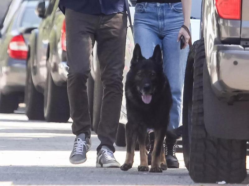 Студия Disney отказалась от проекта экранизации книги Патриции Хайсмит «Глубокие воды" с участием Аны де Армас и Бена Аффлекаю