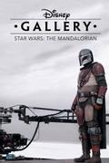 Галерея Дисней: Мандалорец