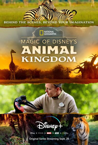 Magic of Disney's Animal Kingdom