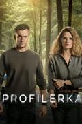 Профайлер