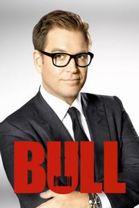 Bull (2016)