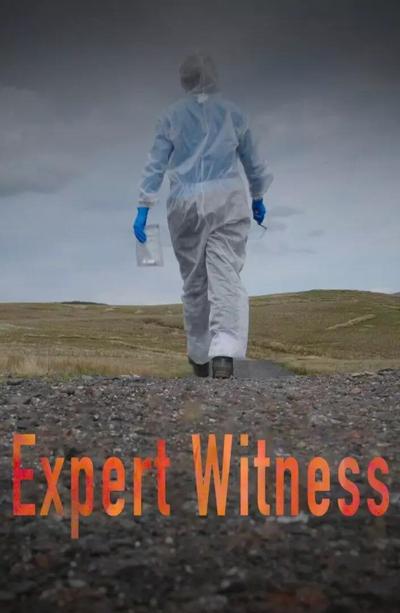 Expert Witness