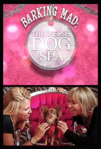Barking Mad: The Welsh Dog Spa