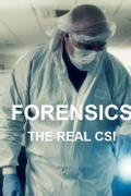 Forensics: The Real CSI